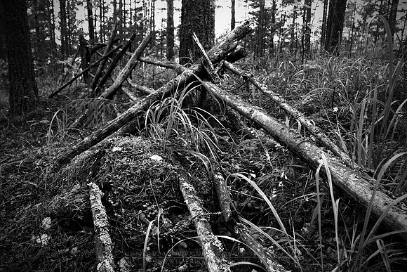 0784 - B - Fallen fence
