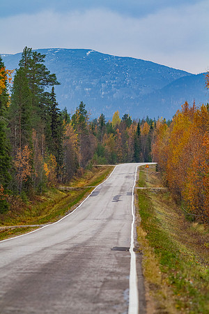 1901 - Towards Noitatunturi