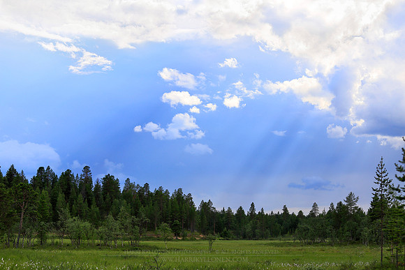 1477 - Rays