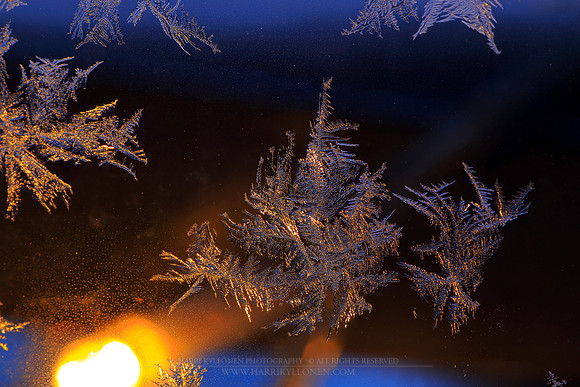 1450 - Ice and lamp