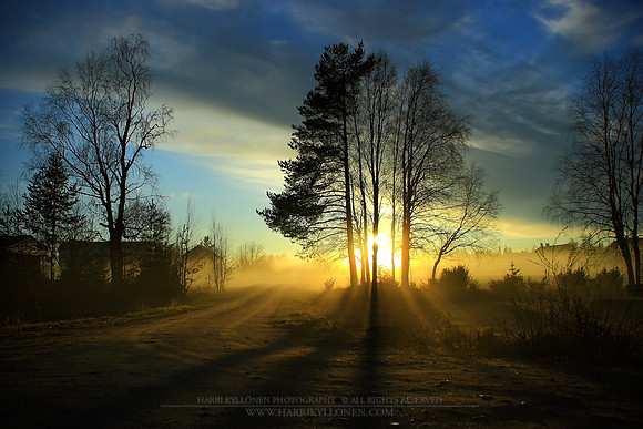 0768 - A - Golden mist II