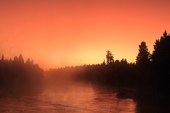 0919 - A - Golden glow at Kiveskoski