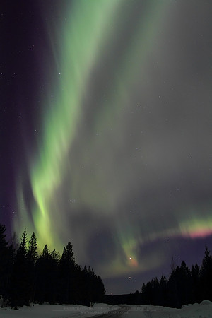 0875 - A - Auroras, Jupiter and Venus II