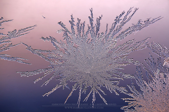 1483 - Spreading ice