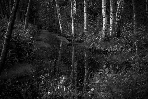 0796 - B - Quiet creek