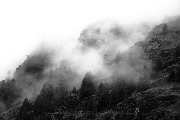 0791 - B - Mountain mist