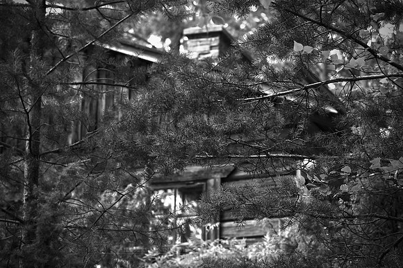 0785 - B - Hidden hut
