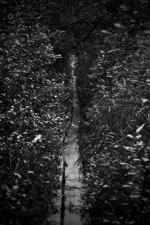 0912 - B - Hidden path