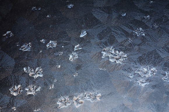 1453 - Ice flowers on window III