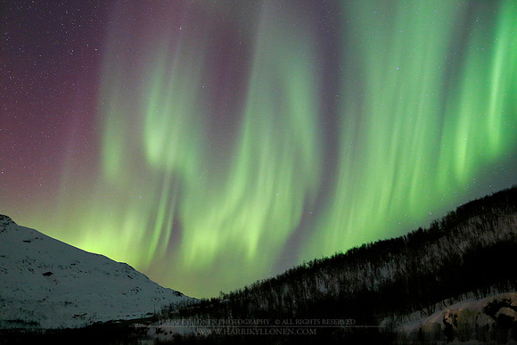 1429 - Aurora curtain at Gratangen