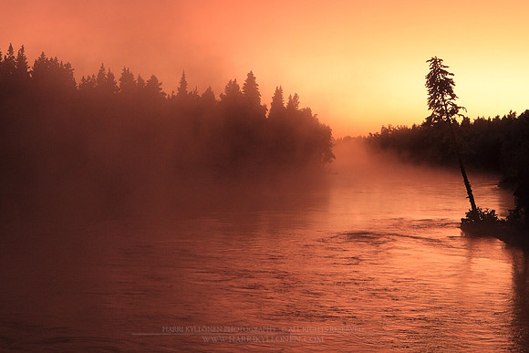 0920 - A - Golden glow at Kiveskoski II