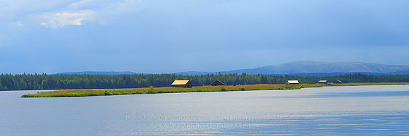 1498 - Island meadow at Suvanto - HD