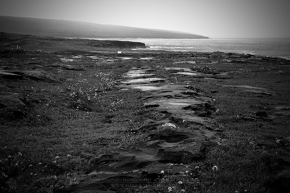 0778 - B - Wet coast II
