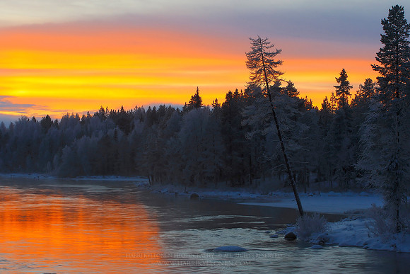 1035 - River at winter