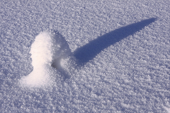 0336 - B - Fresh snow II