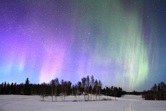 1311 - A - Colours of the northern night