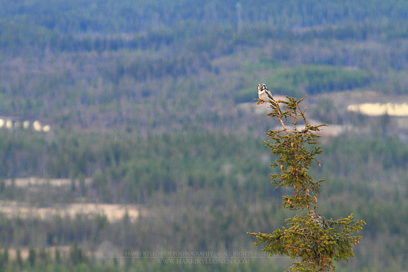 1229 - B - On a vantage point III