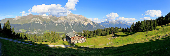1749 - Alp Fops - HD