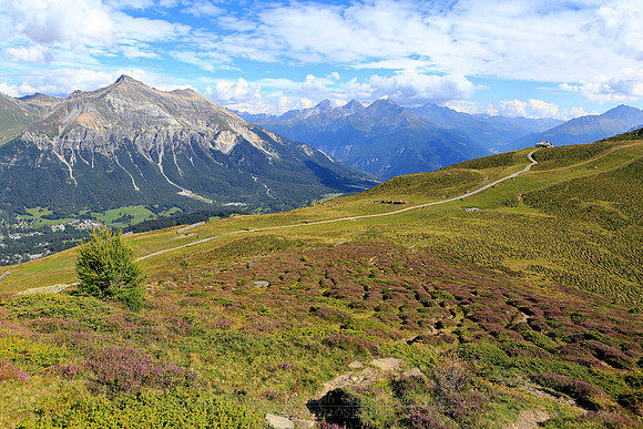 1765 - Highground view at the Alps