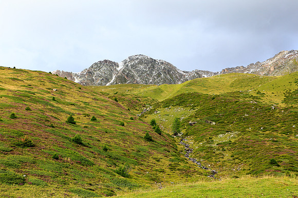 1769 - Mountain creek