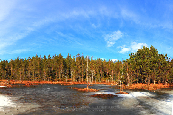 0629 - B - Spring day at svamp