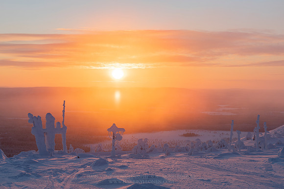 1817 - Winter sun