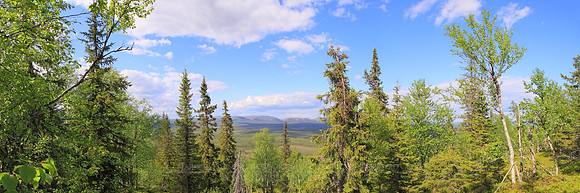 0669 - B - Forest view II - HD
