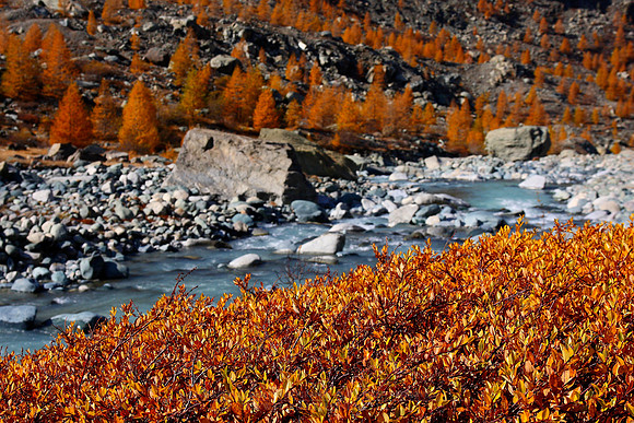 0279 - B - River VI