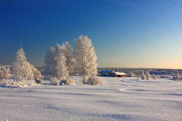 0332 - A - Just a winter day