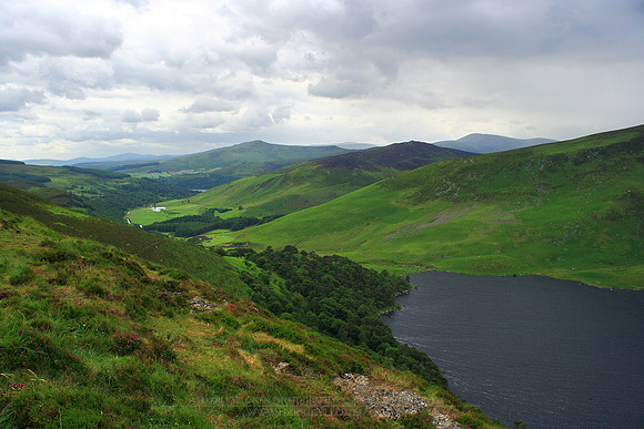 0977 - B - Guinness Lake II