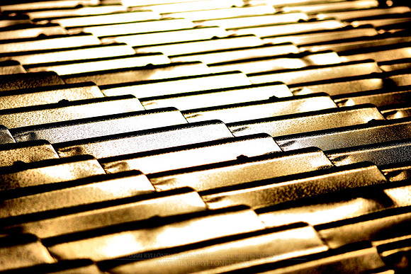 0013 - B - Roof top