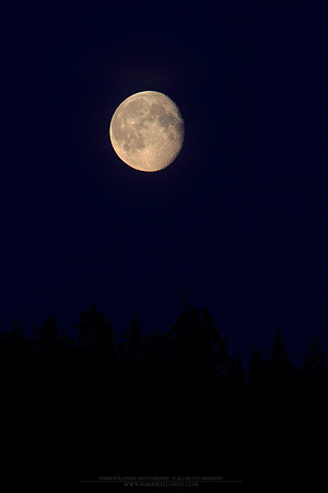 1153 - B - Super moon II