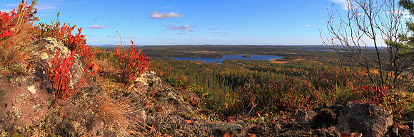 0605 - B - Ground colors II