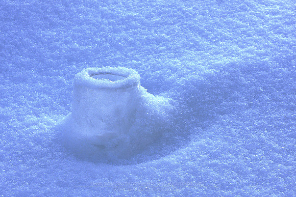 1078 - Fresh snow II