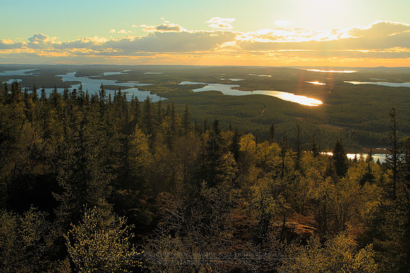 0968 - B - Golden view from Iivaara