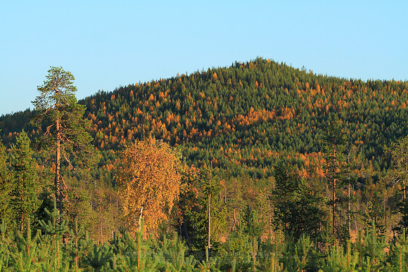 1152 - B - Suovaharju