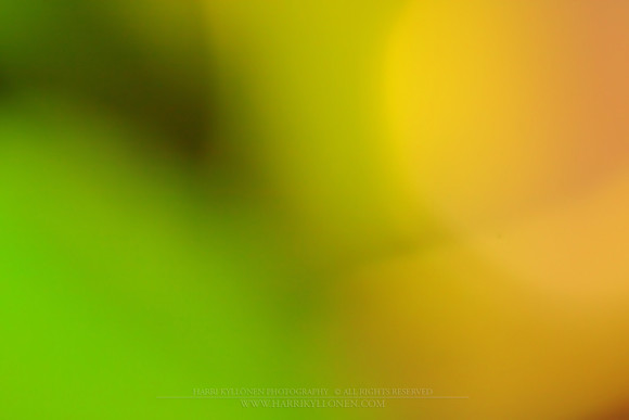 0018 - B - Color shades
