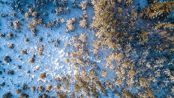 1814 - Winter morning
