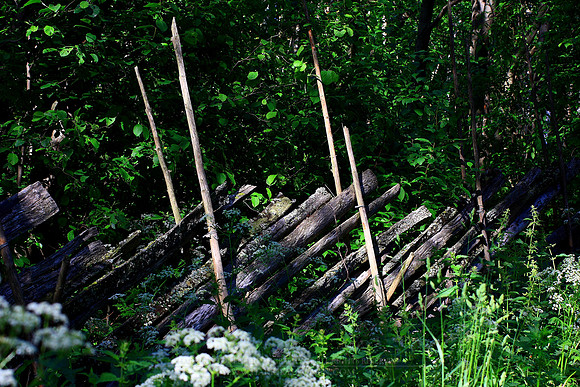 0128 - B - Old Fence