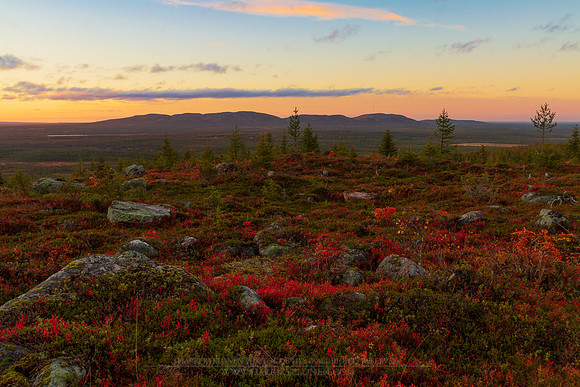 0712 - Javarustunturi ground colours