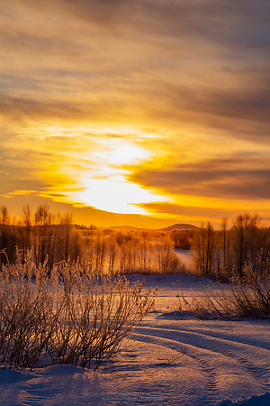 1804 - Polar day