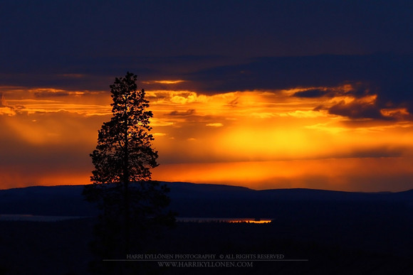 1036 - Golden sunset II