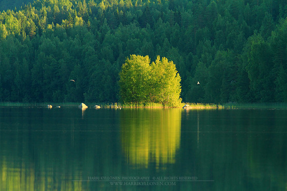 0140 - A - The Island