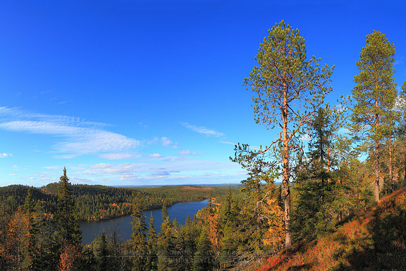 0637 - B - Slope and pond