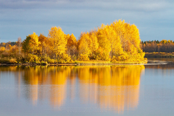 1897 - Fall colours at Kemijoki