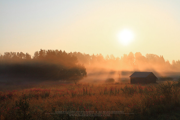 0066 - A - Early morning mist