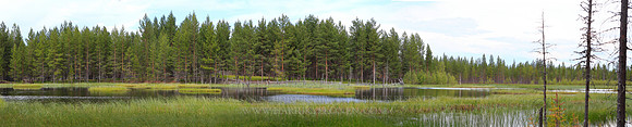 1550 - Reindeer enclosure at Suvanto