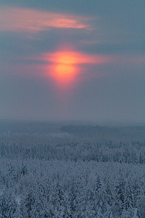 1800 - Winter sun