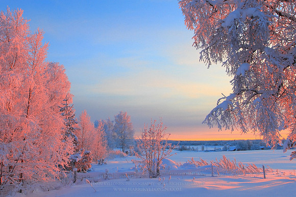 0592 - B - Shine of the winter morning