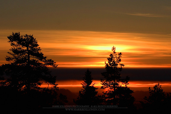 1034 - Golden sunset